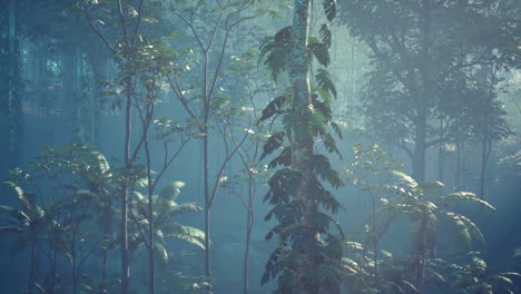 Selvas-Tropicales-Profundas-Del-Sudeste-Asiático-En-Agosto